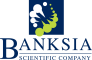 Bankisa Logo